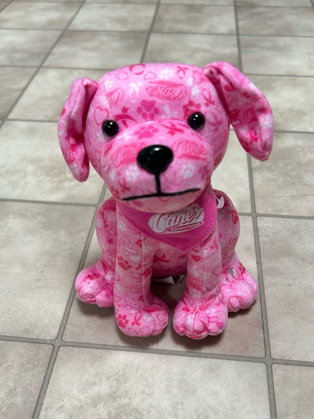 Raising Canes October Breast Cancer Awareness Plush Pink Puppy Limited Edition